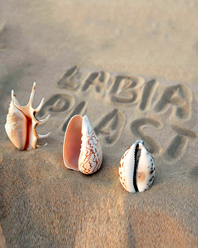 Labioplasti ve Vaginoplasti